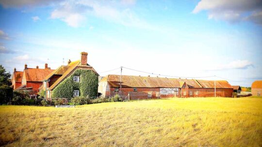 Bâtiment agricole : tendance de l’année 2021