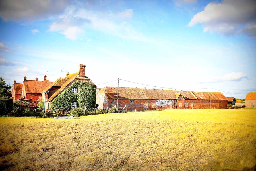 Bâtiment agricole : tendance de l’année 2021